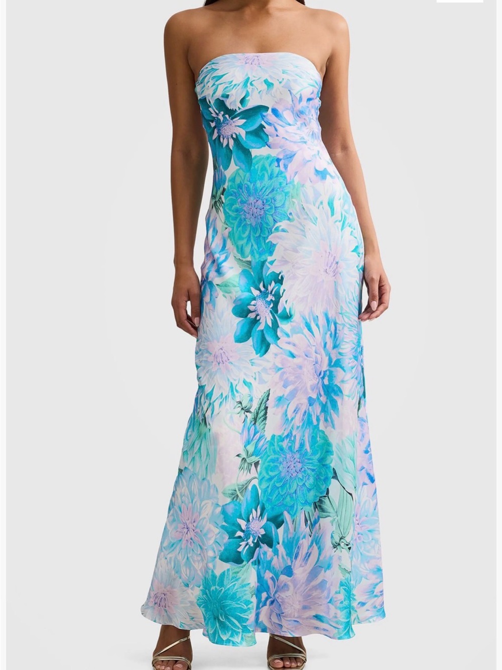 Ever New Long Dress
